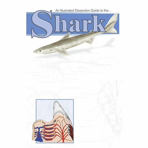 Frey Scientific Mini-Guide to Shark Dissection, Paperback, 20 Pages 420.4084.1